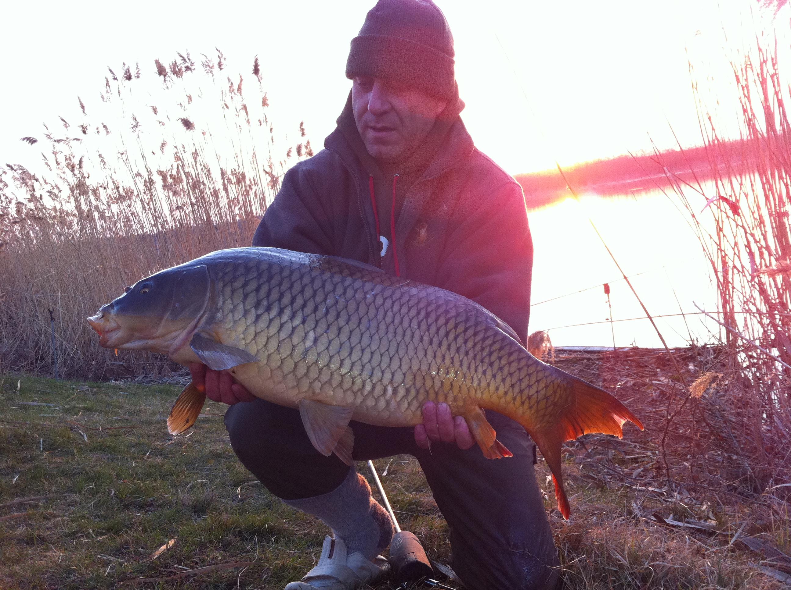 Tancabesti 2012 - aprilie 2012 007.JPG